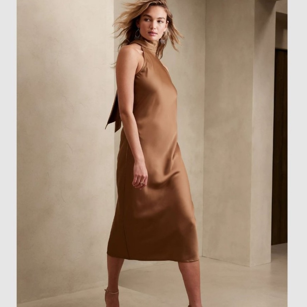 Banana Republic Dress - Large Petite - NWT